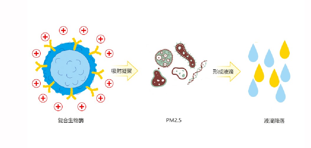 福賽生物PM2.5治理劑