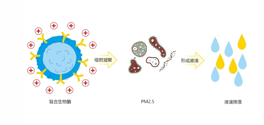 生物酶臭氧/PM2.5凈化劑助力大氣污染防治，讓冬奧藍(lán)成為常態(tài)